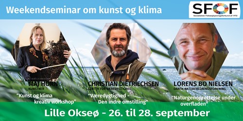 Okseø ny